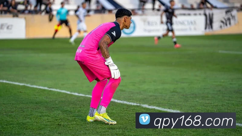 棋牌游官网APP 高清赛事图